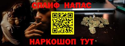 стаф Новокубанск