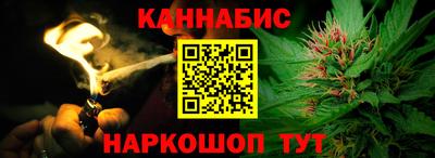 стаф Новокубанск