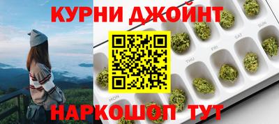стаф Новокубанск