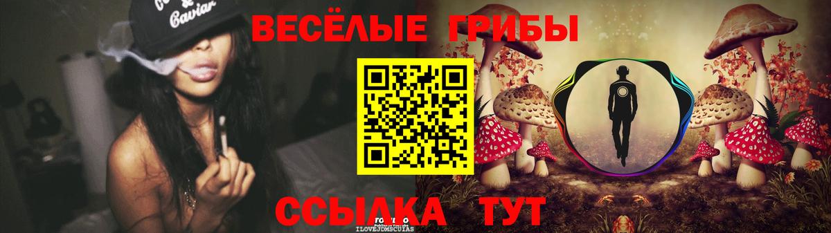Тайшет  Псилоцибиновые грибы Psilocybe  хочу наркоту  Вход с VPN 